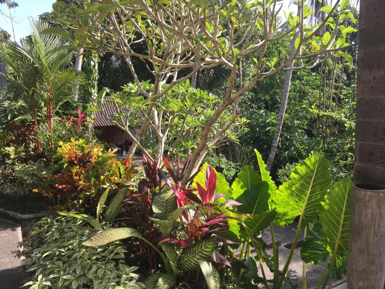 The Bali Shanti Ubud Kültér fotó